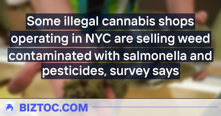  Some illegal cannabis shops operating in NYC are selling weed contaminated with salmonella and pesticides, survey says