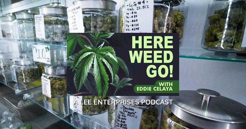  MJBizCon 2022 highlights booming business, innovation in cannabis industry | Here Weed Go! podcast