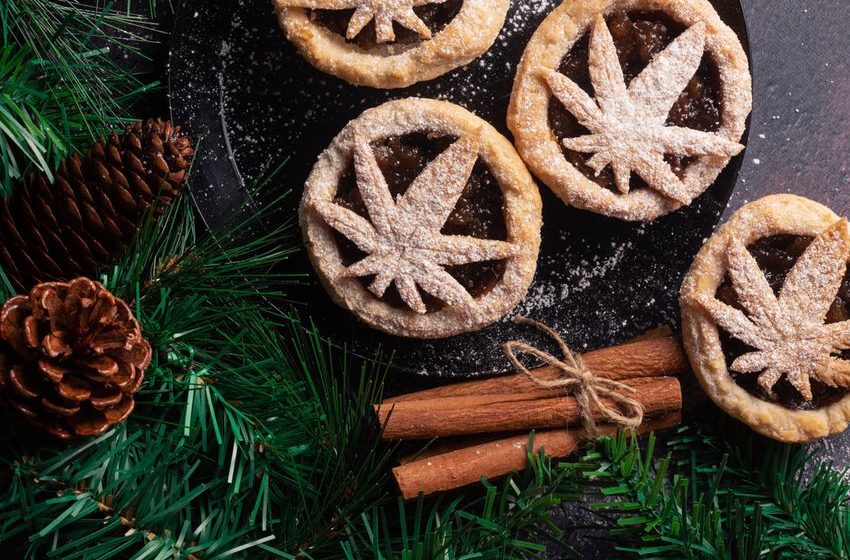  Weed Strain Of The Week: Christmas Cookies