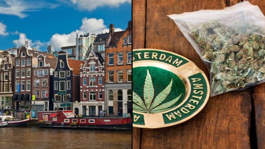  Amsterdam considering stopping selling weed at weekends in bid to slow down ‘nuisance tourism’