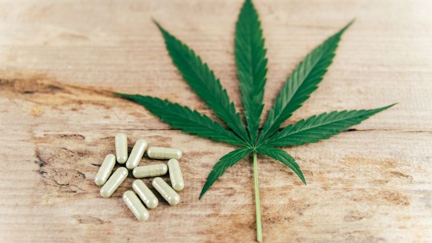  Pain relief from marijuana comes from a belief it helps, study finds