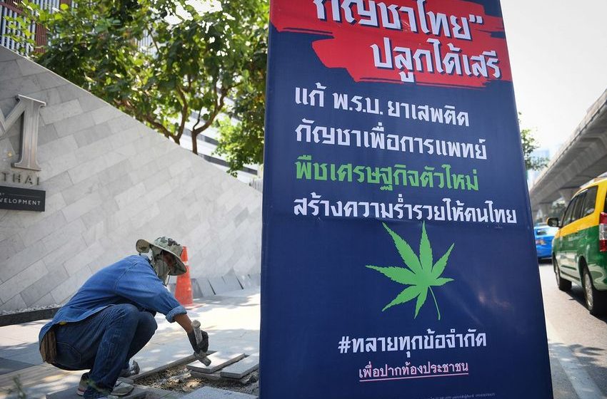  Cannabis-Backing Thai Party Sees Influx of Defectors Before Vote