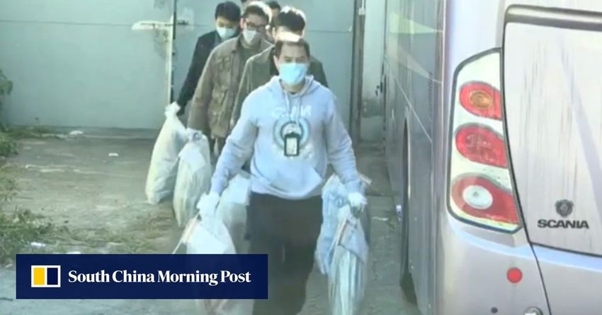  Hong Kong police investigating indoor marijuana farm syndicate after 2 arrests made and 991 cannabis plants seized in New Territories raid