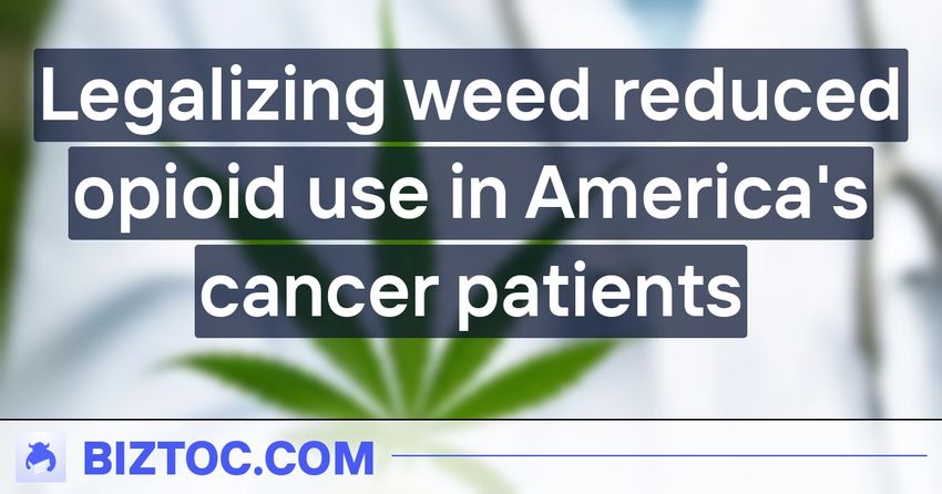  Legalizing weed reduced opioid use in America’s cancer patients