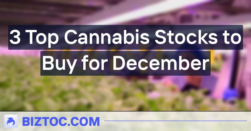  3 Top Cannabis Stocks to Buy for December