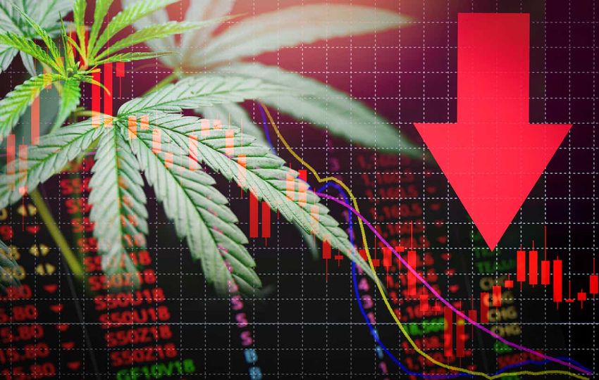  Cannabis MSOs down significantly for second day as marijuana banking will wait until 2023