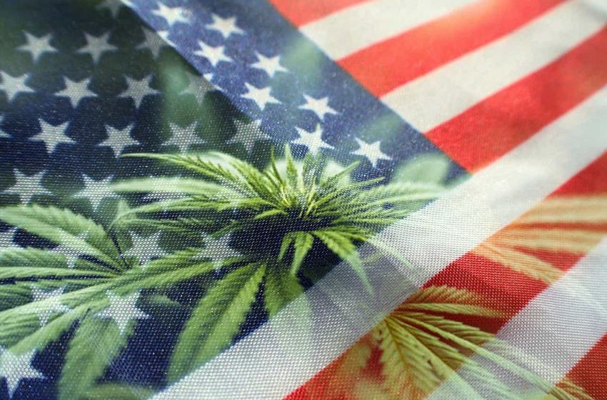  Brighter days are ahead for U.S. cannabis industry – Wedbush