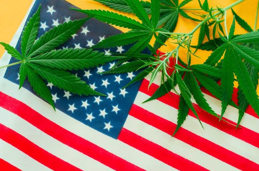  DoJ flags concerns over cannabis banking reforms – report