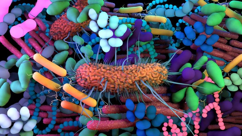  $20 Million Funding For AI-Driven Microbiome-Based Therapeutics