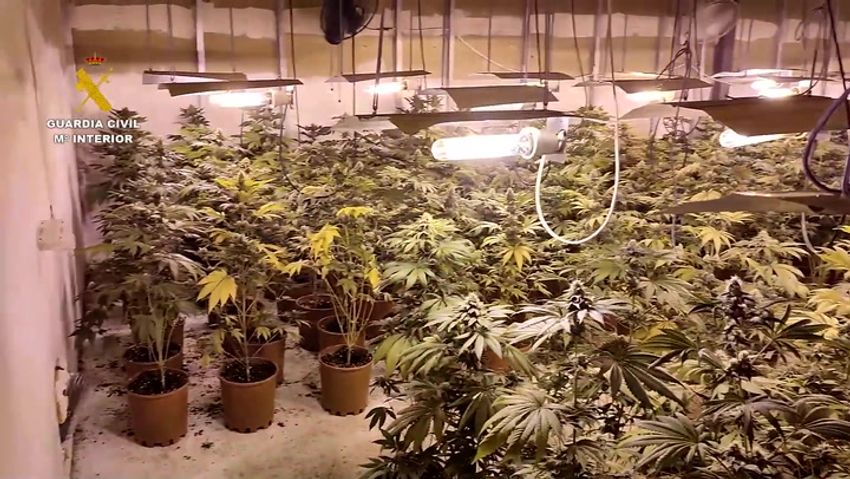  Spanish police seize marijuana disguised as Ukraine aid