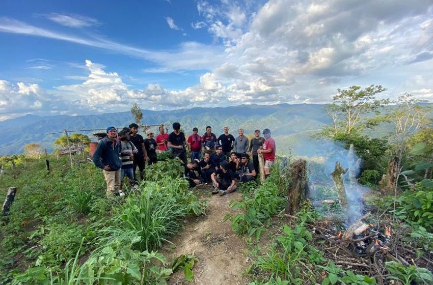  Police raid 11 hectares of marijuana farms in Mandailing Natal