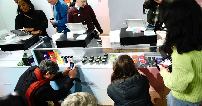  The first legal weed dispensary in NYC is open for business – New York Daily News