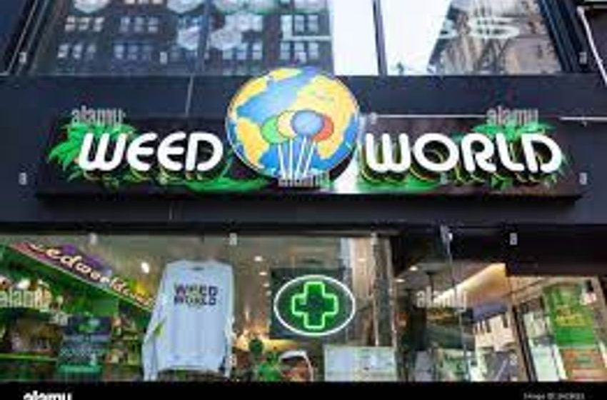  Illegal Cannabis Stores