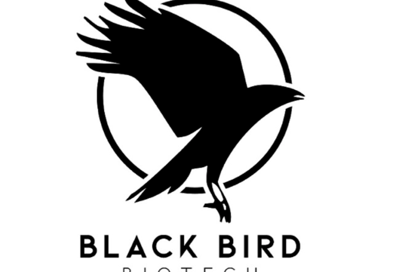  Black Bird Biotech Secures Full-Page Print Package for 2023 in Nationally Distributed Cannabis Now Magazine