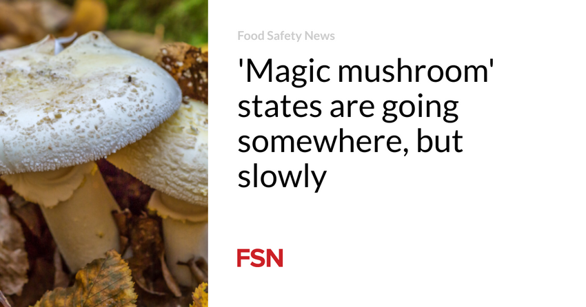  ‘Magic mushroom’ states are going somewhere, but slowly