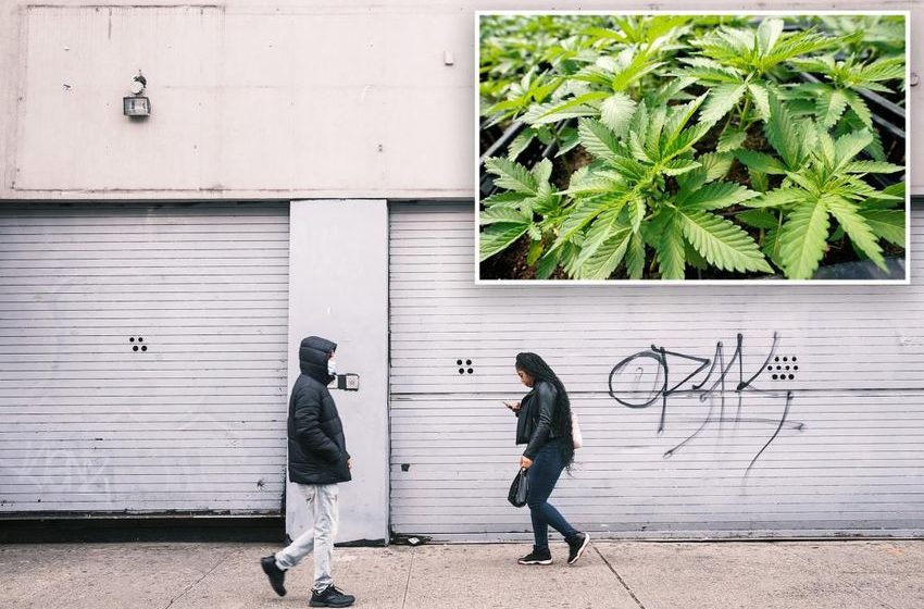  State chooses first official pot sales site near famed Apollo Theater