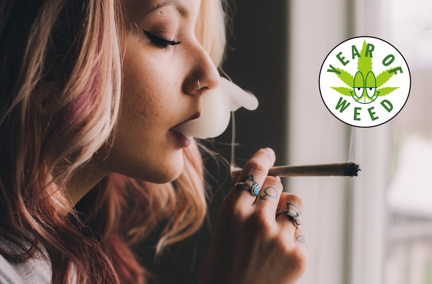  Six tips on how to smoke weed in NYC from the Emily Post Institute