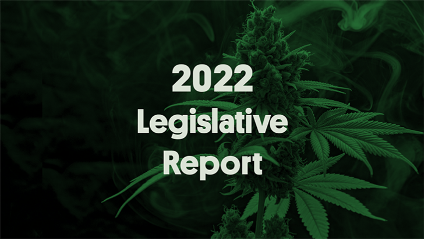  NORML Issues Report Highlighting 2022 State Legislative Victories