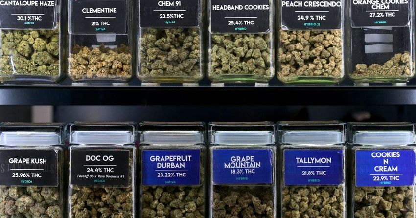  Local governments eye sales tax windfall from legal marijuana sales in Missouri