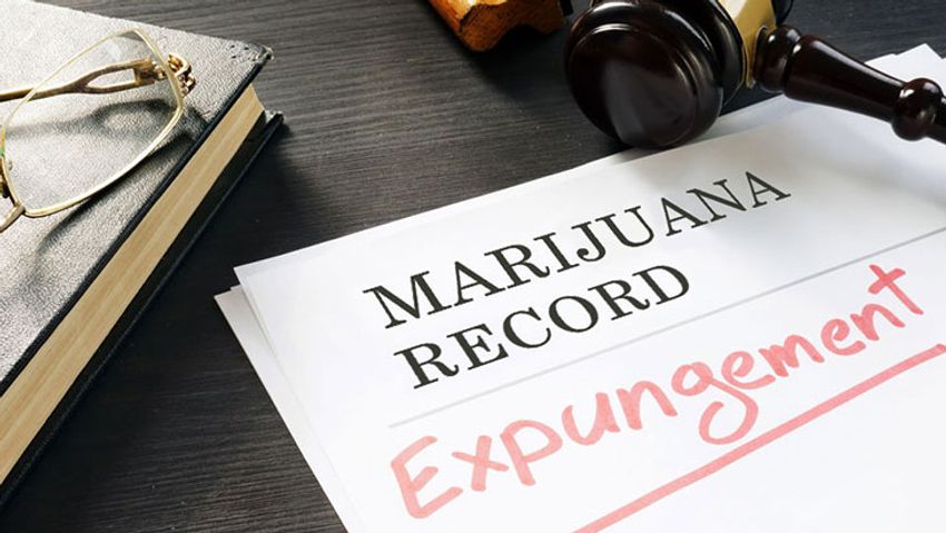  District of Columbia: Council Members Advance Legislation to Expunge Tens of Thousands of Marijuana Convictions