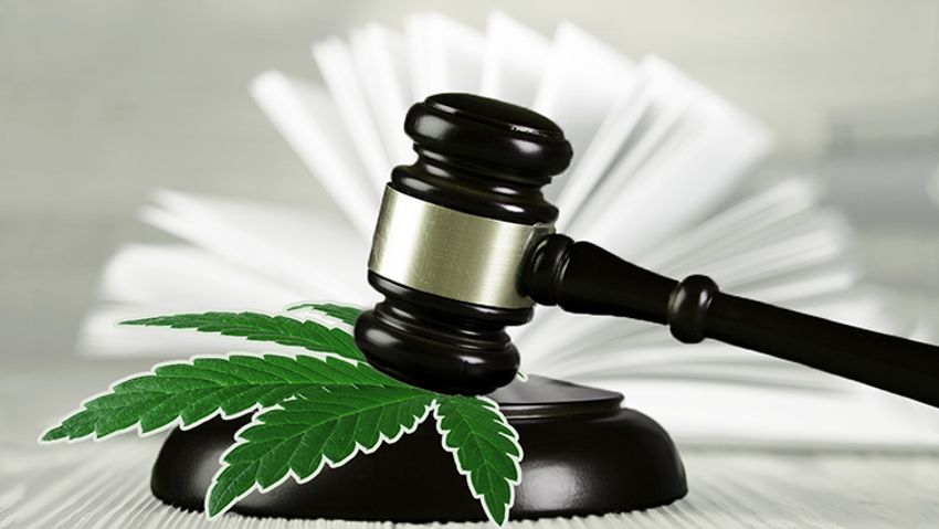  NORML Report Highlights State Efforts Providing Expungement Relief to Millions with Low-Level Cannabis Convictions