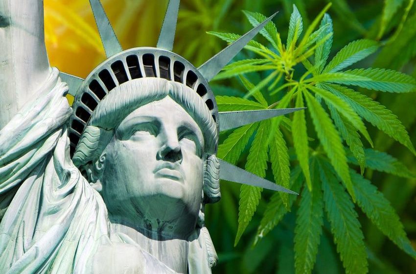  New York To Finally Launch Legal Adult-Use Cannabis Market With East Village Dispensary