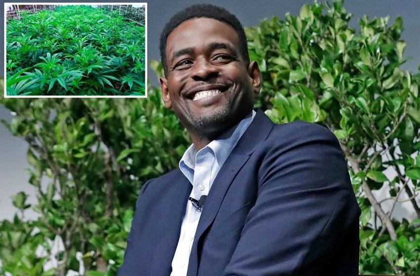  Ex-NBA star Chris Webber failed to raise money for NY’s legal weed fund: report