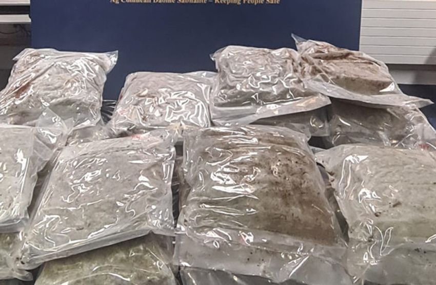  €860,000 worth of suspected cannabis seized in Clondalkin