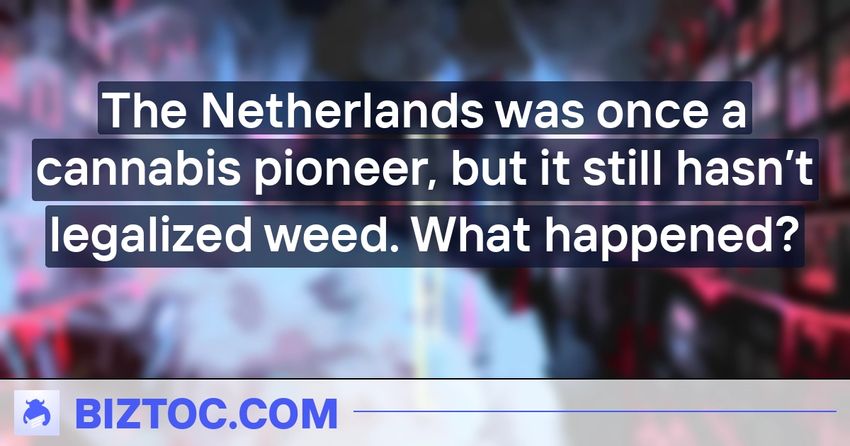  The Netherlands was once a cannabis pioneer, but it still hasn’t legalized weed. What happened?