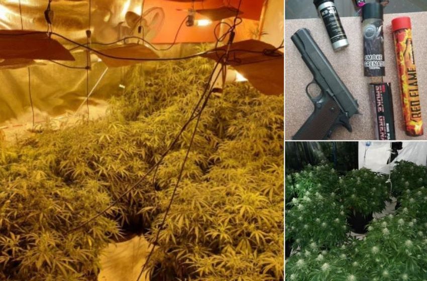  How police took down £2m cannabis farms in East Lancs homes