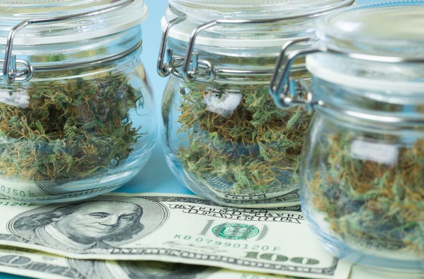  Here’s the Marijuana Stock I Plan to Buy in 2023