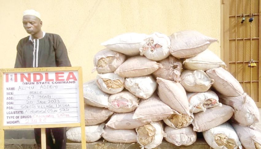  NDLEA nabs blind grandpa, leper for drug trafficking