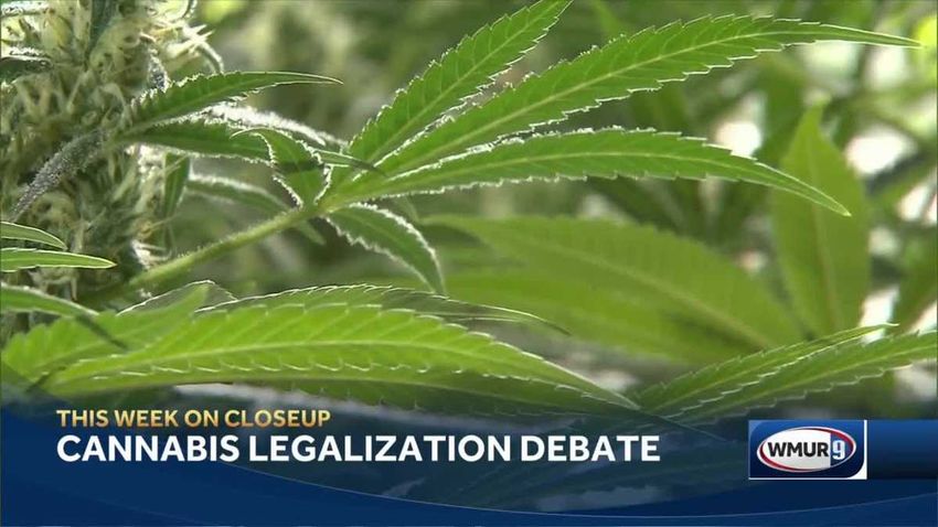  CloseUp: Cannabis advocate seeks to grow business support for legalization – WMUR Manchester