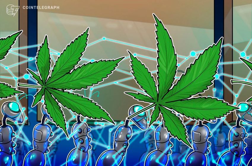  California cannabis producer adopts blockchain to track its weed