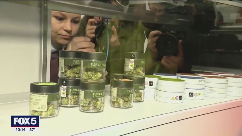  New York’s new cannabis reality – FOX 5 New York