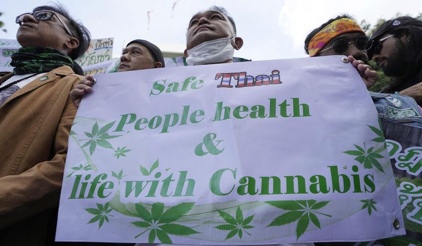  Thai stuck? Cannabis market faces political uncertainty in Thailand