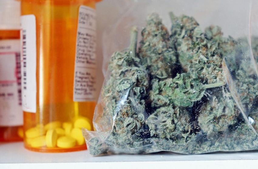  Americans Turn To Medical Cannabis For Chronic Pain Management, Study Finds