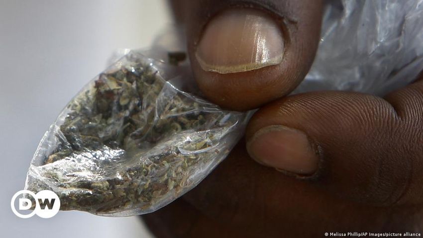  Kush: The drug ‘killing’ West African youth