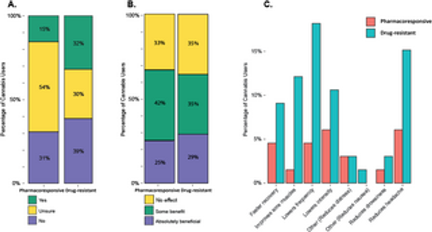  Cannabis use patterns in drug-resistant and pharmacoresponsive epilepsy: Single tertiary referral center survey investigation