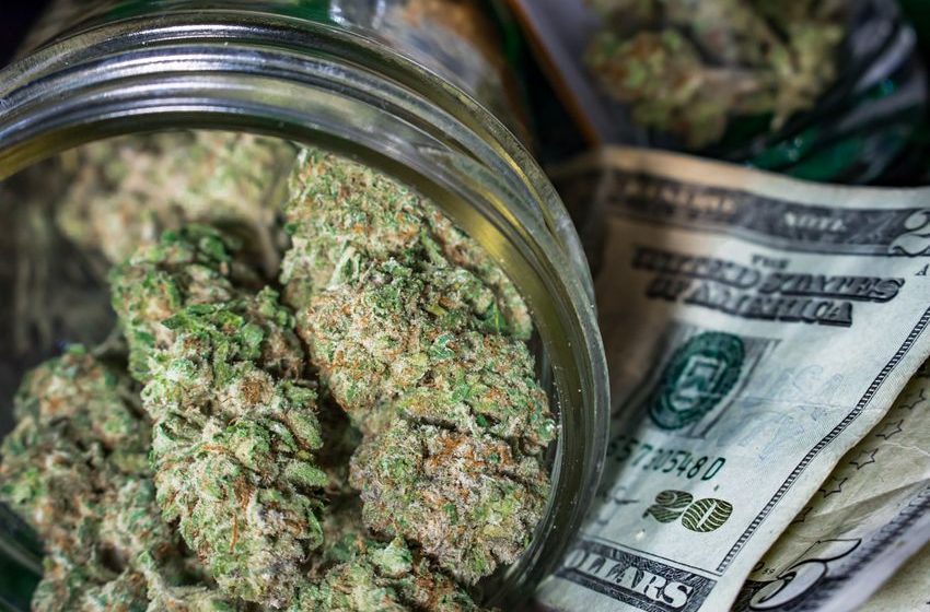  The 4 Best Marijuana Stocks to Buy in 2023