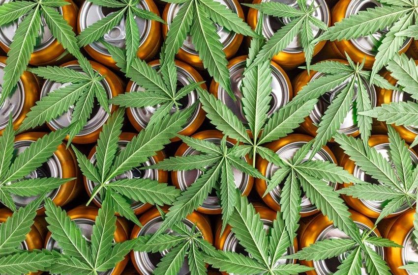  Survey Finds 21% Of Dry January Participants Use Cannabis Instead Of Alcohol