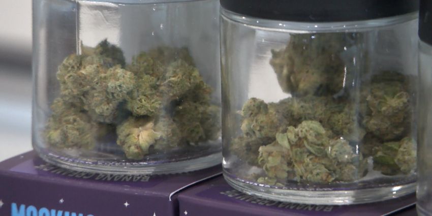  Some Pine Belt medical marijuana dispensaries open and ready for business – WDAM