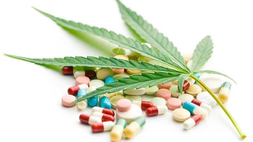  Study: Cannabis Use Reduces Daily Use of Prescription Opioids in Chronic Pain Patients