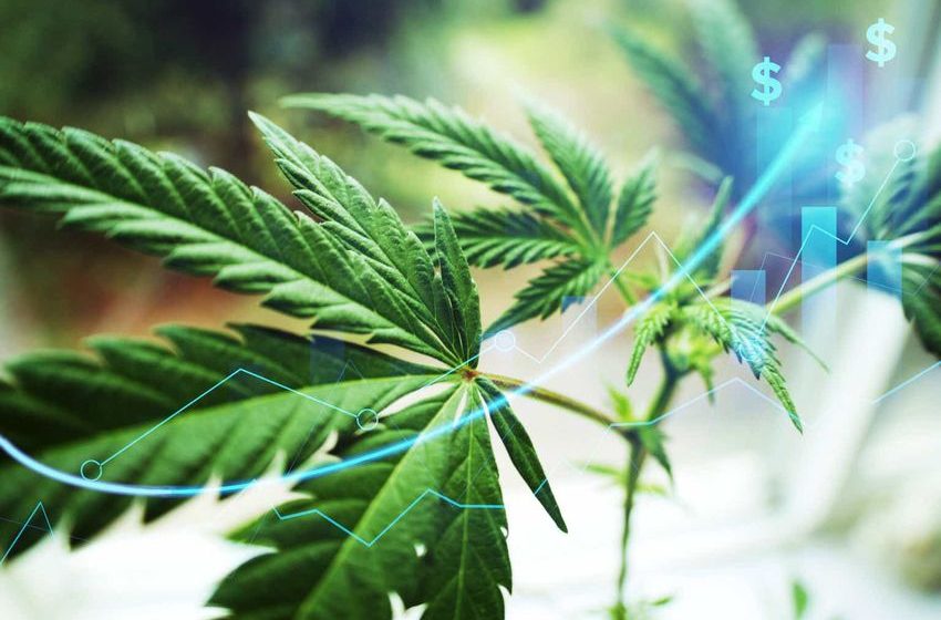 Tilray Brands: More Than A Cannabis Stock