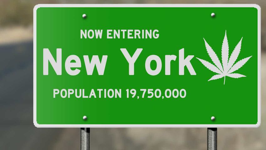  What’s The Deal With New York Cannabis?