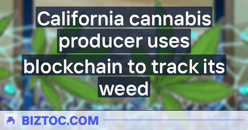  California cannabis producer uses blockchain to track its weed