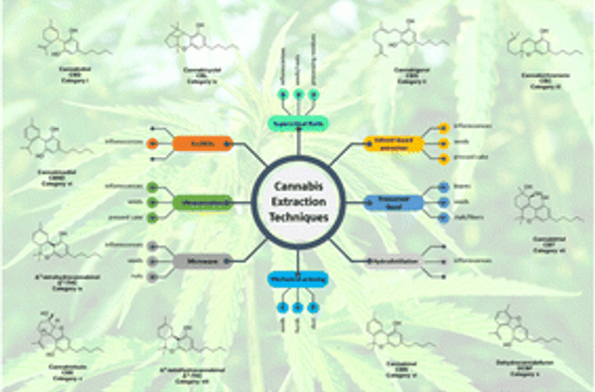  Extraction techniques for bioactive compounds of cannabis