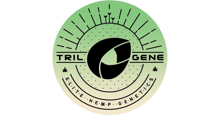  Trilogene Seeds Accelerates Cannabis Breeding Using Target Sequencing