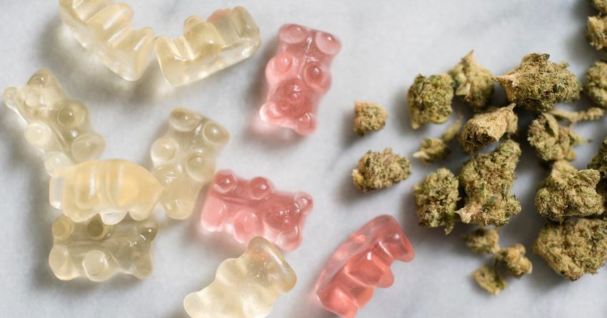  Sharp Increase in Children Mistakenly Eating Cannabis Edibles