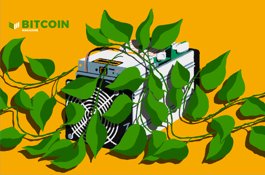  US Largest Hemp Processor Enters Bitcoin Mining